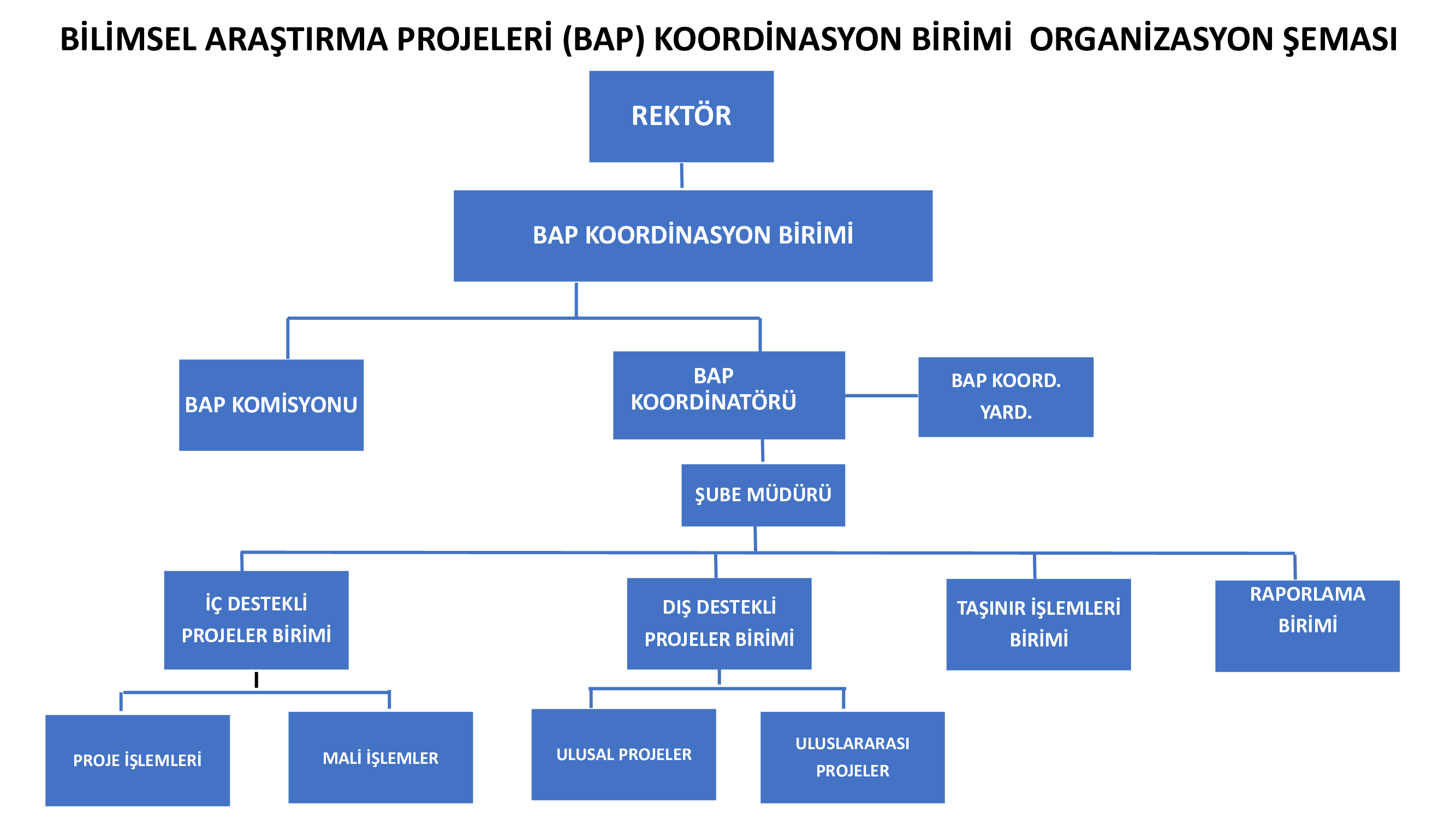 organizasyon_sema-_1_.jpg (567 KB)